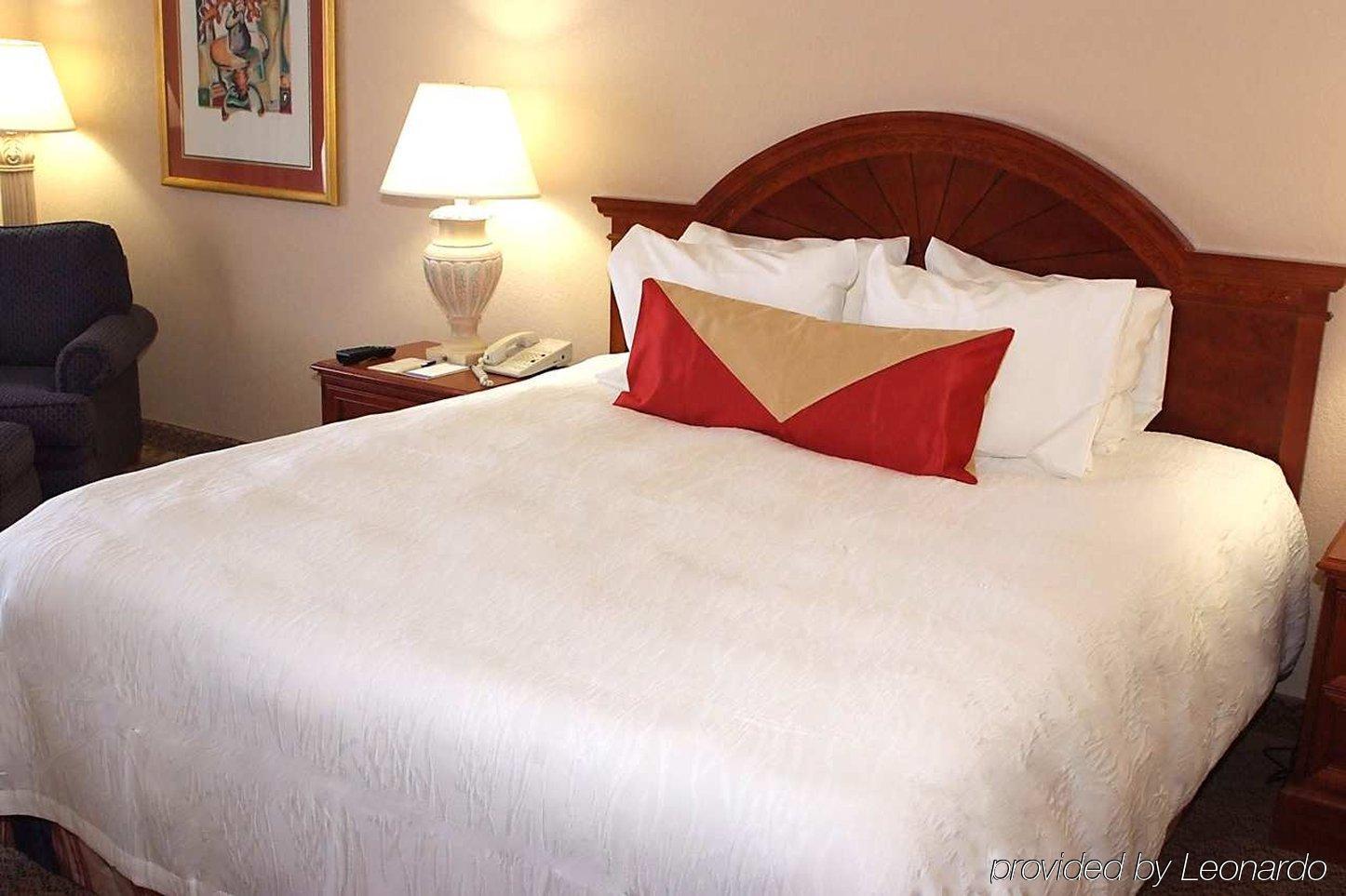 Hilton Garden Inn Detroit Metro Airport Romulus Bilik gambar